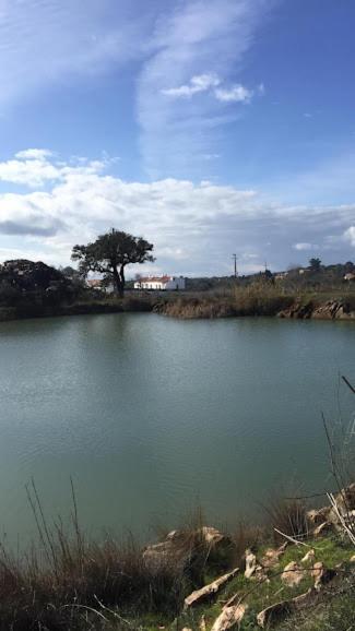 Herdade Da Maridona - Agroturismo Естремос Екстериор снимка
